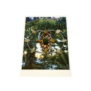 Pine Tree Prosperity Grid - Aligned to the Energy of the Full December Moon