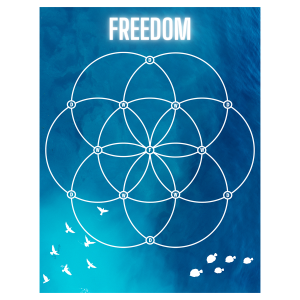 Freedom Crystal Grid